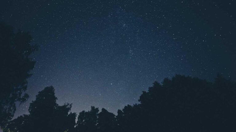 What Is Cricbet99 Vip Site Official App Called?